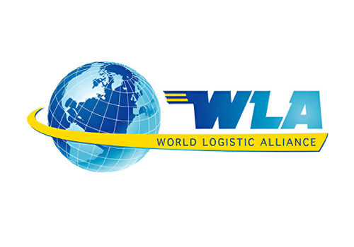 Global Coverage Icon